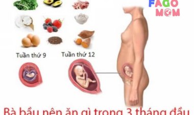 Chế độ dinh dưỡng cho bà mẹ mang thai 3 tháng đầu