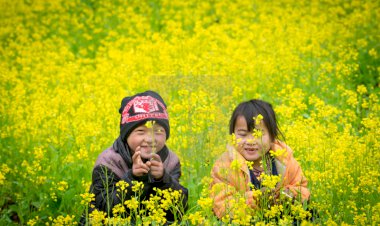 Bộ sưu tập ảnh của Nhiếp Ảnh Nguyễn Anh Tuấn