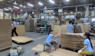 Top 10 công ty sản xuất bao bì giấy tại TPHCM uy tín và giá tốt