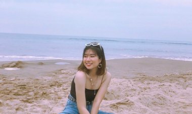 [ Góc cảnh giác ] Thiết Kế Website NINA lừa đảo mọi người cẩn thận