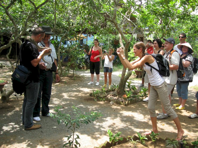 Các tuyến du lịch sinh thái - văn hóa lịch sử Xứ Dừa - Bến Tre